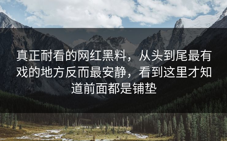 真正耐看的网红黑料，从头到尾最有戏的地方反而最安静，看到这里才知道前面都是铺垫