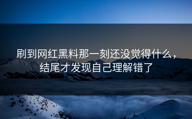 刷到网红黑料那一刻还没觉得什么，结尾才发现自己理解错了